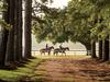 Reasons to Love Springtime in Horse Country - Southern Living